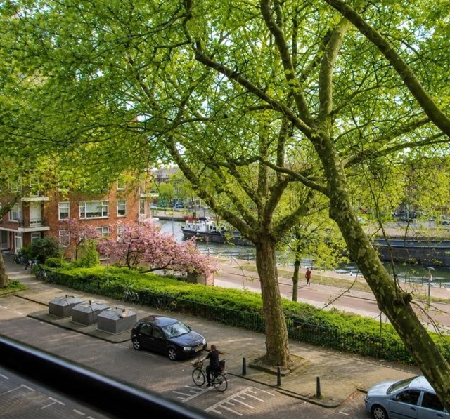 Foto 2: Rotterdam - Rosener Manzstraat - Foto 2