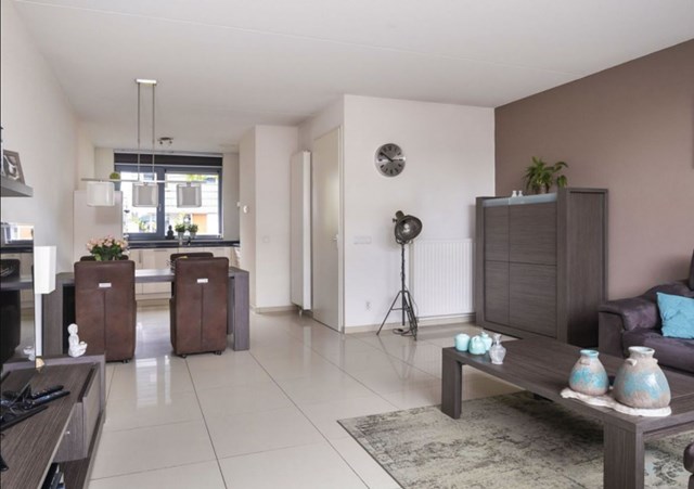 Foto 7: Eindhoven - Grasplant - Foto 7