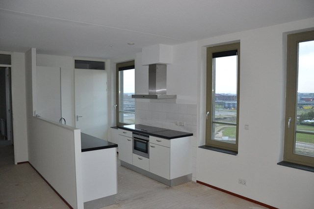 Foto 6: Utrecht - Luzernevlinder - Foto 6