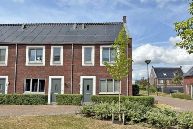 Foto 1: Vlijmen - Ranonkel - Foto 1
