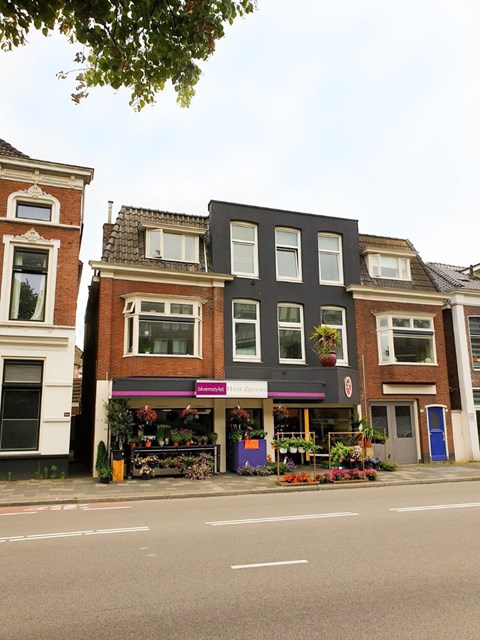 Foto 1: Groningen - Eeldersingel - Foto 1