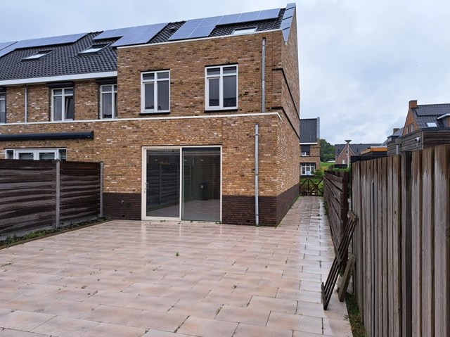 Foto 2: Hendrik-Ido-Ambacht - Aalscholver - Foto 2