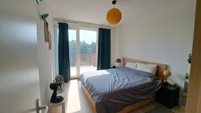 Foto 6: Eindhoven - Meergras - Foto 6