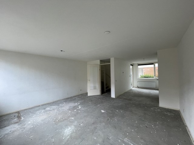 Foto 5: Amersfoort - Hugo de Vries Serre - Foto 5