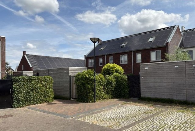 Foto 5: Vlijmen - Ranonkel - Foto 5