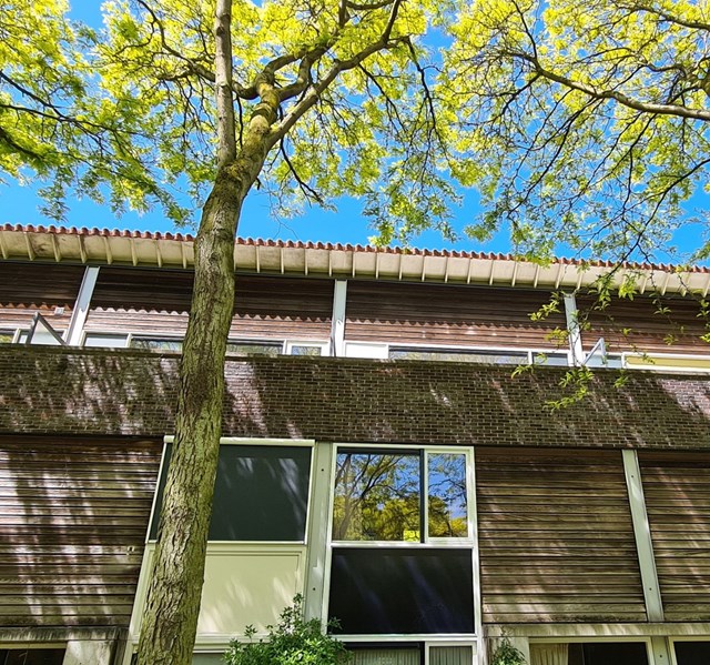 Foto 1: Amsterdam - Liedekerkeplantsoen - Foto 1