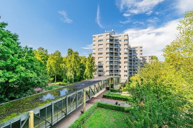 Foto 1: Amsterdam - Gouden Leeuw - Foto 1