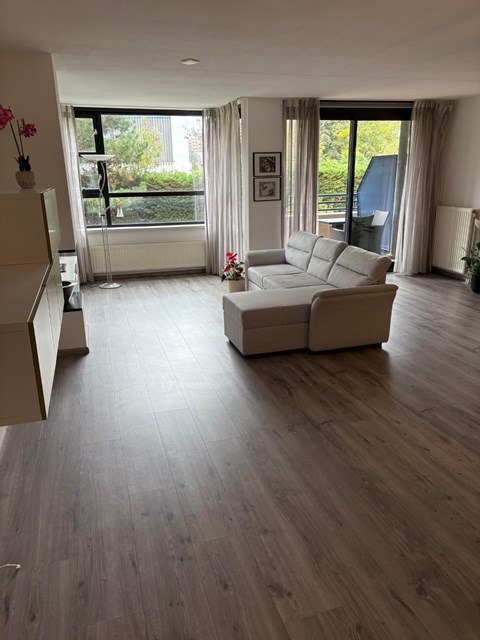 Foto 7: Leiden - Swammerdampad - Foto 7