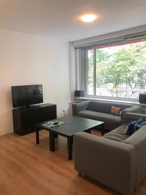 Foto 2: Amsterdam - Onstein - Foto 2