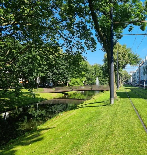 Foto 2: Rotterdam - Eendrachtsweg - Foto 2