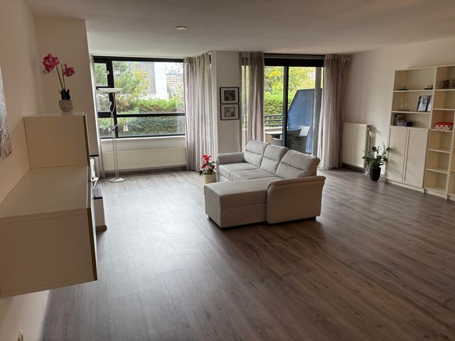 Foto 1: Leiden - Swammerdampad - Foto 1