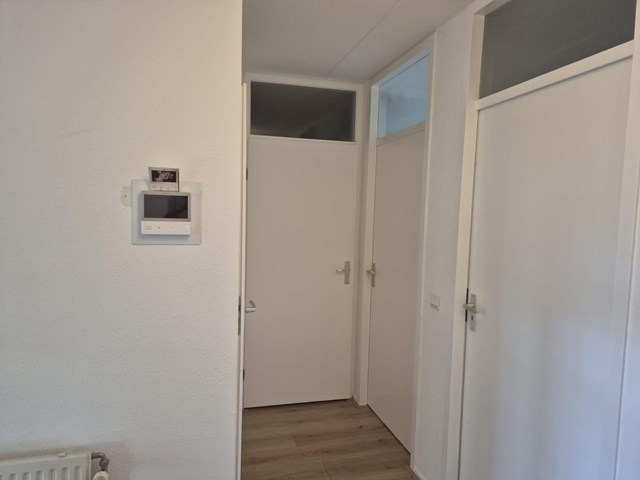 Foto 6: Zeist - Bachlaan - Foto 6
