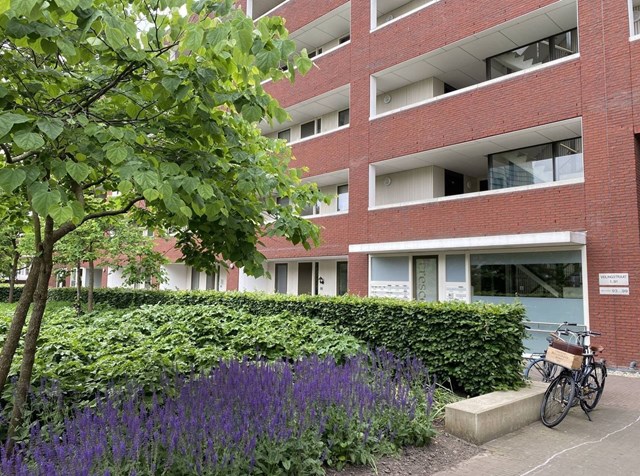 Foto 3: Utrecht - Veilingstraat - Foto 3