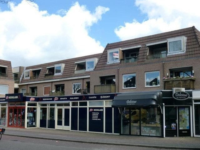 Foto 1: Hoogland - Hamseweg - Foto 1