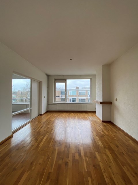 Foto 3: Rotterdam - Ruigenhoek - Foto 3