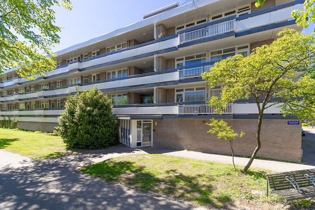 Foto 1: Amsterdam - Bolestein - Foto 1