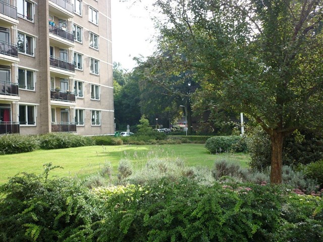 Foto 5: Enschede - Espoortstraat - Foto 5