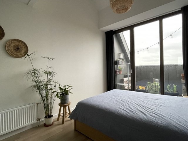 Foto 7: Deventer - Larenstein - Foto 7