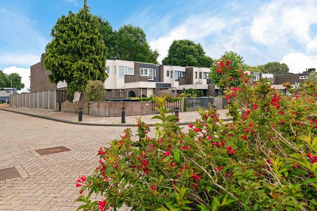 Foto 5: Emmeloord - Pallasstraat - Foto 5