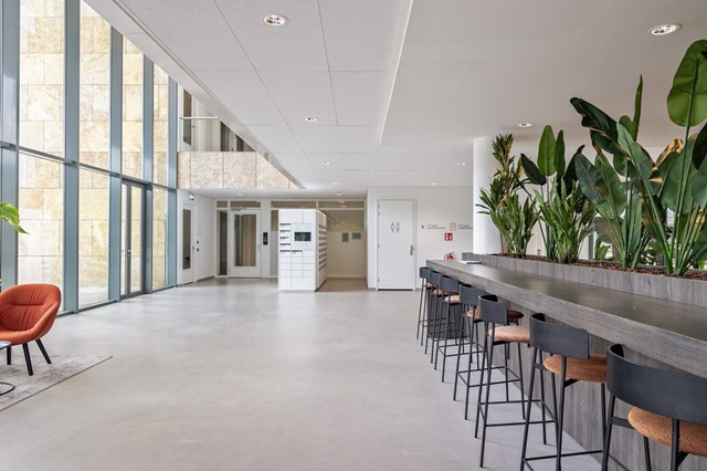 Foto 4: Eindhoven - Grenenhout - Foto 4