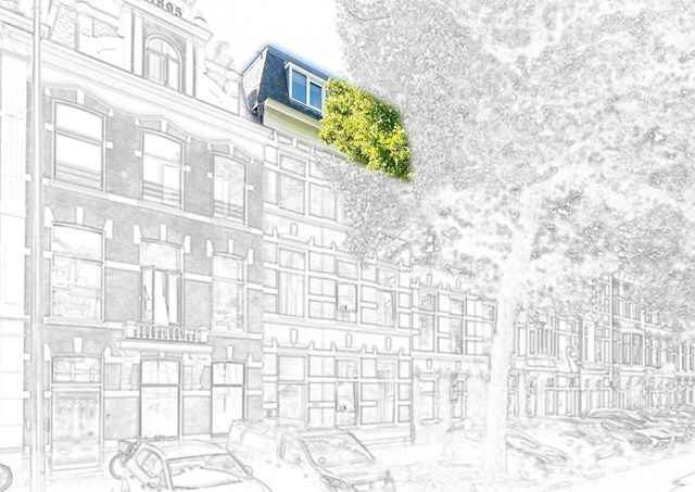 Foto 6: Den Haag - Jan van Nassaustraat - Foto 6