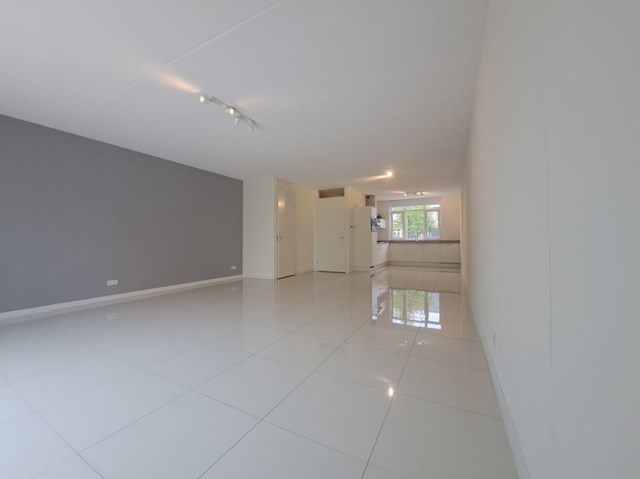 Foto 7: Hendrik-Ido-Ambacht - Aalscholver - Foto 7