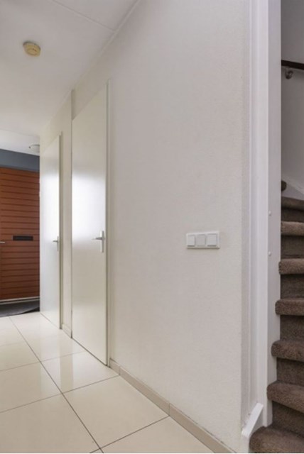 Foto 3: Eindhoven - Grasplant - Foto 3