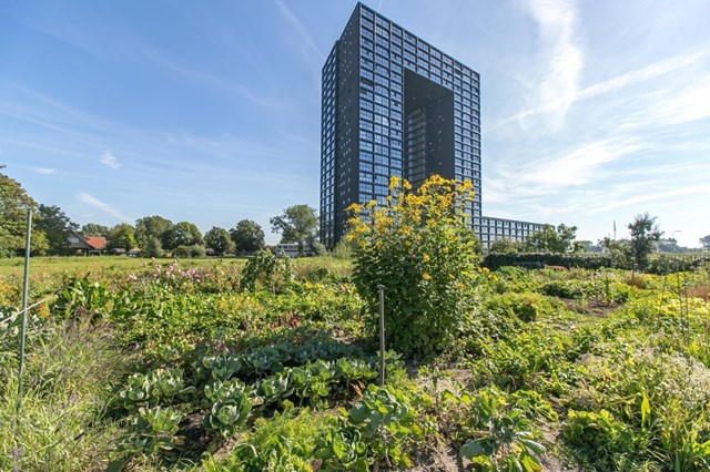 Foto 7: Groningen - Regattaweg - Foto 7