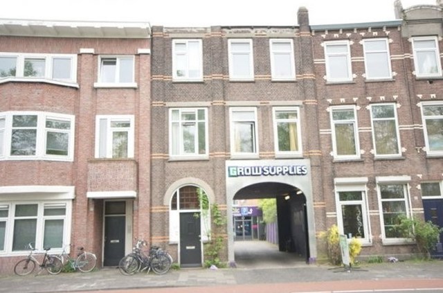 Foto 1: Breda - Wilhelminasingel - Foto 1