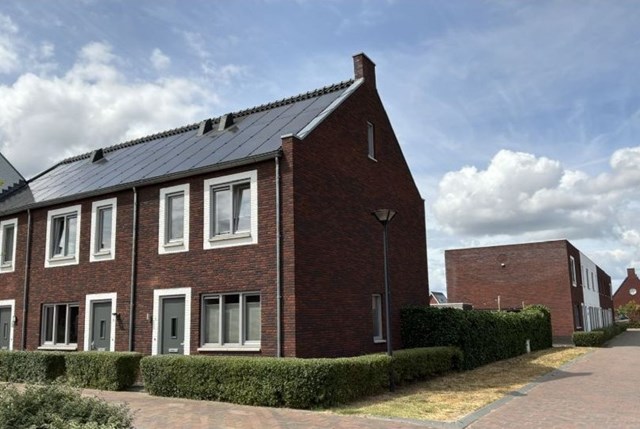 Foto 4: Vlijmen - Ranonkel - Foto 4