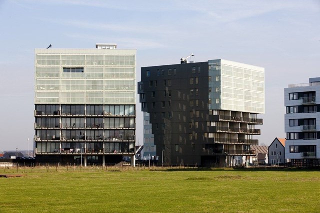 Foto 2: Utrecht - Luzernevlinder - Foto 2