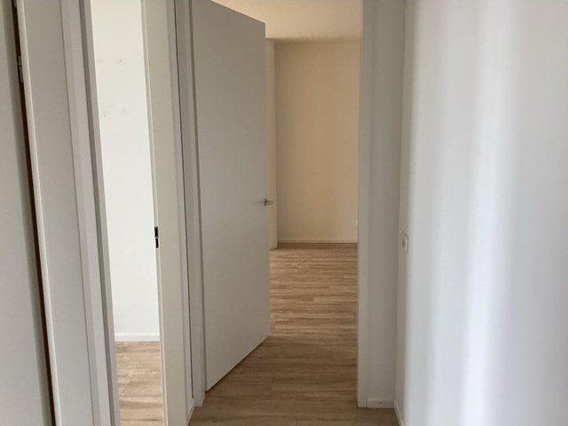 Foto 4: Eindhoven - Grenenhout - Foto 4