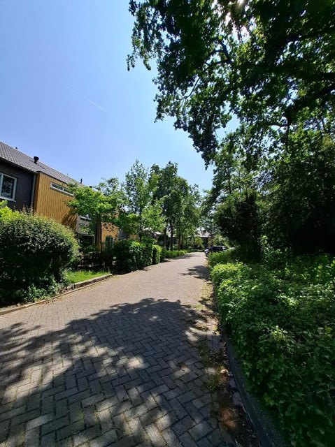 Foto 5: Bergen (NH) - Wijzend - Foto 5