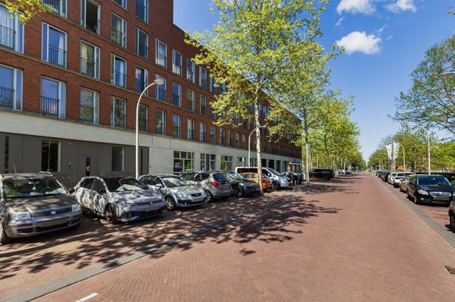 Foto 1: Den Haag - Steentijdsingel - Foto 1