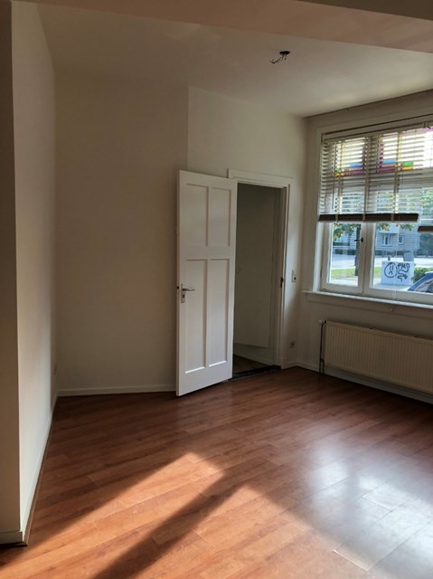 Foto 6: Eindhoven - Paradijslaan - Foto 6