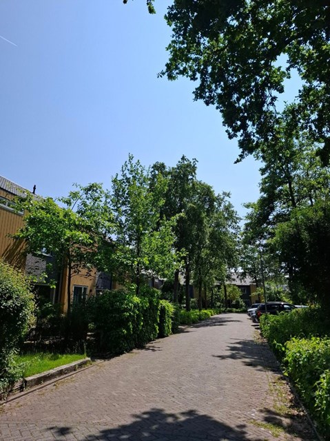 Foto 3: Bergen (NH) - Wijzend - Foto 3