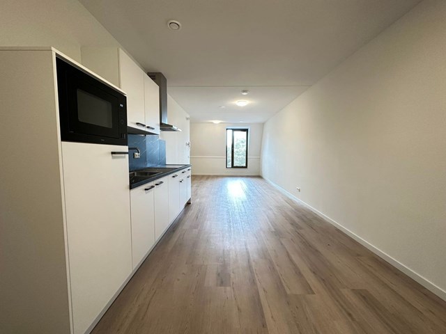 Foto 2: Helmond - Molenstraat - Foto 2