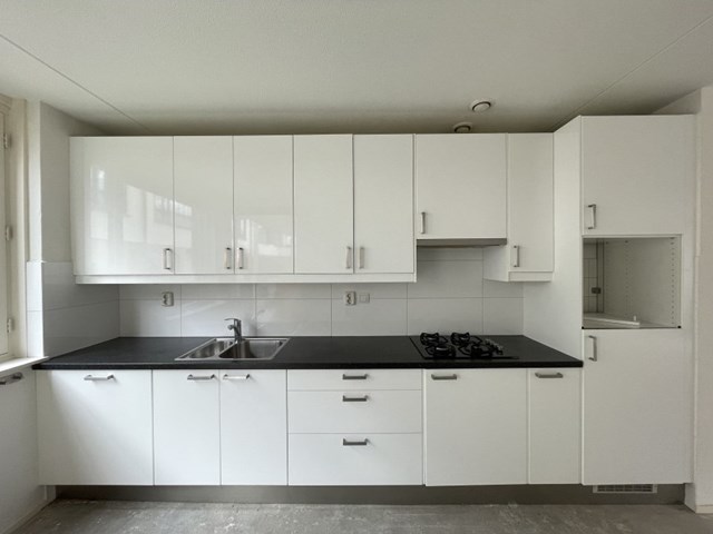 Foto 3: Amersfoort - Hugo de Vries Serre - Foto 3