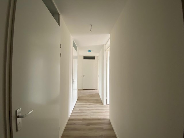 Foto 5: Eindhoven - Meerring - Foto 5
