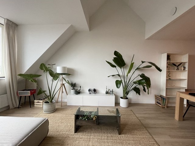 Foto 3: Deventer - Larenstein - Foto 3