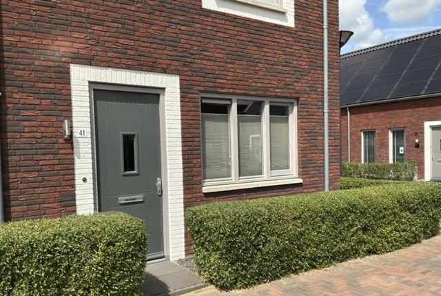 Foto 3: Vlijmen - Ranonkel - Foto 3