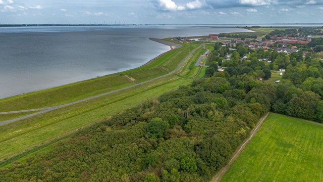 Foto 7: Borgsweer - Schepperbuurt - Foto 7