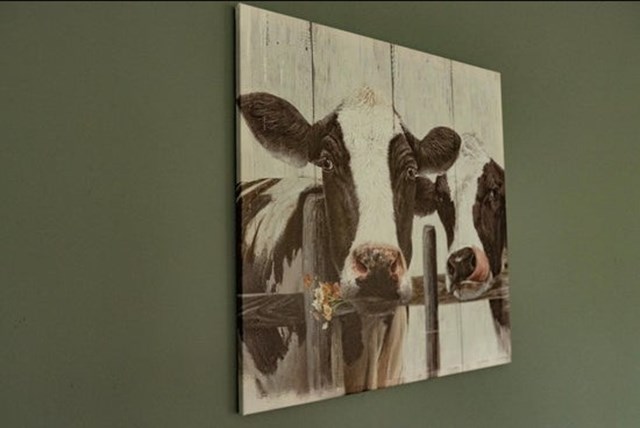 Foto 5: Broek in Waterland - Noordmeer - Foto 5