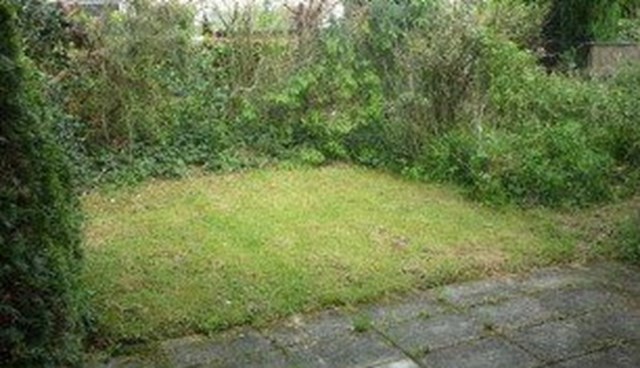 Foto 5: Eindhoven - Serlioweg - Foto 5