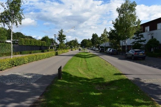 Foto 3: Eindhoven - Zandtong - Foto 3