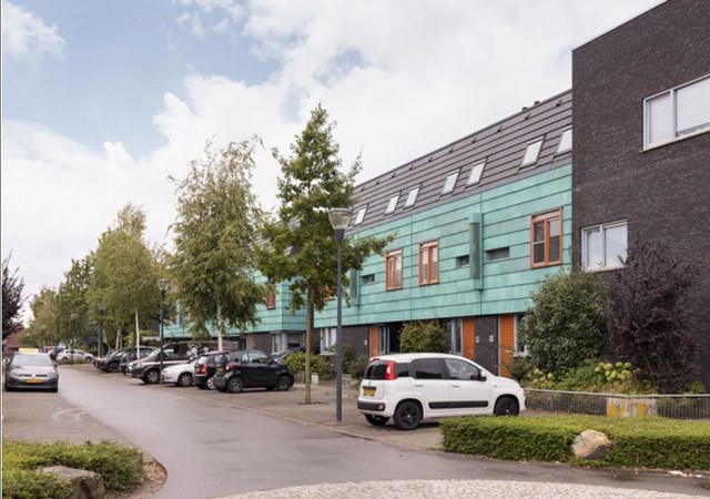 Foto 2: Eindhoven - Grasplant - Foto 2