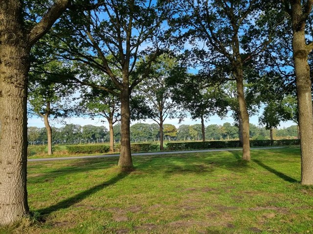 Foto 4: Beetsterzwaag - Commissieweg - Foto 4