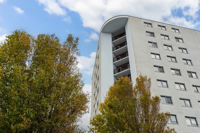 Foto 3: Leiden - Tine van Dethstraat - Foto 3