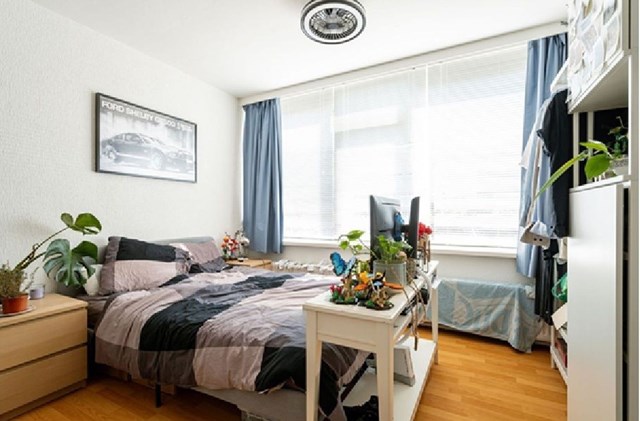 Foto 4: Breda - Vaartbossen - Foto 4