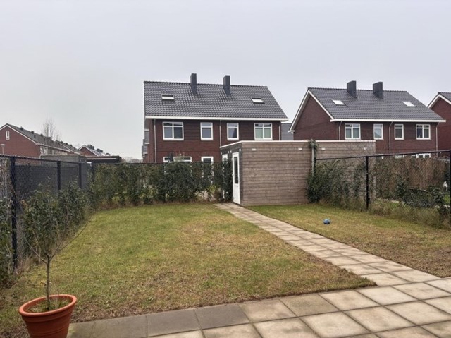 Foto 7: Linne - Boomgaard - Foto 7